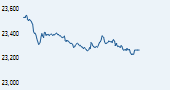 IISL CNX 500