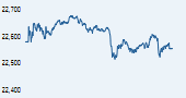 IISL CNX 500